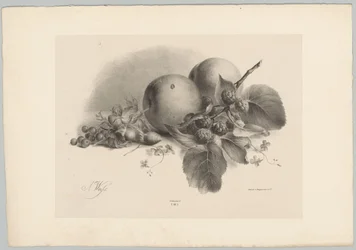 Persikor, bär, hasselnötter och björnbär Flower and Fruit Studies (...) 10:e avsnittet (serietitel)