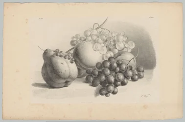 Pumpa, bär, vindruvor och persikor Flower and Fruit Studies (...) 3:e avsnittet (serietitel)