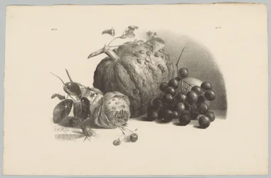 Pumpa, vindruvor, ros och jordgubbar Flower and Fruit Studies (...) 3:e avsnittet (serietitel)