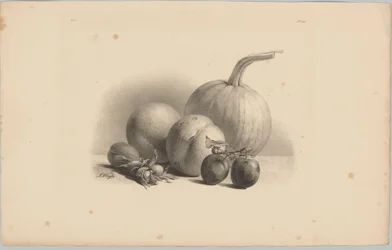 Pumpa, persikor, aprikos, plommon och hasselnötter Flower and Fruit Studies (...) 3:e avsnittet (serietitel)