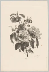 Rosor och andra blommor Flower and Fruit Studies (...) 10:e avsnittet (serietitel)