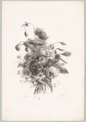 Rosor och andra blommor Flower and Fruit Studies (...) 10:e avsnittet (serietitel)
