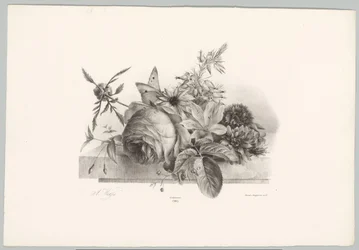 Rosor, liljor, klockformade blommor och fjäril Flower and Fruit Studies (...) 10:e avsnittet (serietitel)