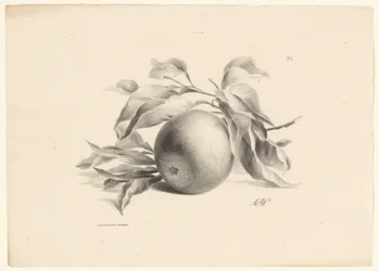Orange Frukter (serietitel)