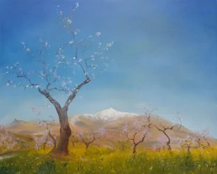 Mandelblomning med snöklädda berget Sierra Nevada, 2016