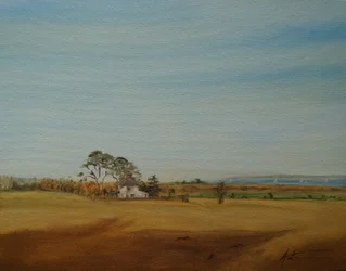 House and Fields, 2016
