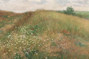 Sommaren 1897.