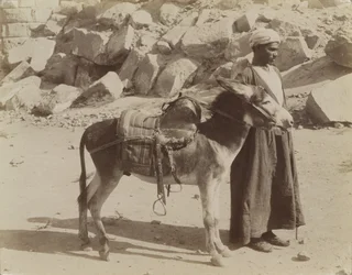 Bourier och Bouriquer, Egypten