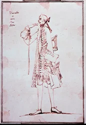 Porträtt av Carlo Broschi kallad Farinelli (1705-1782) Italiensk castrato (castrat) Tecknad av Anton Maria Zanetti (1680-1767). 1700-talet. Privat samling.