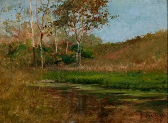 Stilla vatten