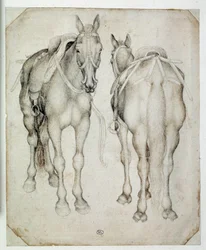 Två selar, sedda tre fjärdedelar, den ena framifrån och den andra bakifrån. Teckning av Pisano Antonio di Puccio dit Pisanello (1395-1455)