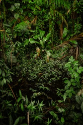 Mantiqueira XLIV, 2015 (digital fotografi)