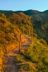 Trail, 2023 (digitalt fotografi)