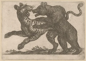 En björn som slåss mot en tiger Kampdjur (serietitel)