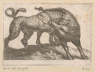 En leopard som slåss mot ett vildsvin Kampdjur (serietitel)