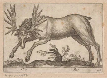 Eland Älg/ Älg (titel på objekt) Dieren en fablewezens (serietitel) Ny samling av världens mest nyfikna djur (serietitel)