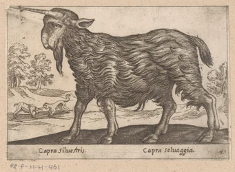 Get med ett horn Capra Silvestris/ Capra Selvaggia (titel på objekt) Dieren en fablewezens (serietitel) Ny samling av världens mest nyfikna djur (serietitel)
