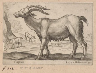 Ädelsten Caprax/ Cerua Belzuaria (titel på objekt) Dieren en fablewezens (serietitel) Ny samling av världens mest nyfikna djur (serietitel)
