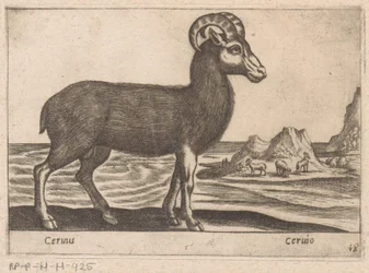 Ädelsten Cerinis / Ceruio (titel på objekt) Dieren en fabelwezens (serietitel) Nova samling av de mest nyfikna djuren i världen (serietitel)