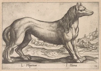 hyena L Hijanae/ I Hiena (titel på objekt) Dieren en fabelwezens (serietitel) Ny samling av världens nyfikna djur (serietitel)