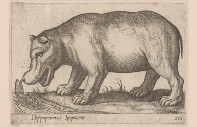 Flodhäst Flodhäst/Ippopotamo (titel på objekt) Djur och mytiska varelser (serietitel) Nova raccolta de li animali piu curiosi del mondo (serietitel)