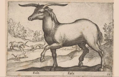 Häst med horn Eale/ Eale (titel på objekt) Djur och mytiska varelser (serietitel) Nova raccolta de li animali piu curiosi del mondo (serietitel)