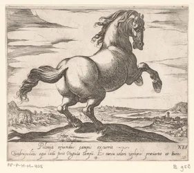 Steigerend paard naar rechts gewend Paarden uit verschiedelden landen (serietitel) Med dessa ledare kommer du att firas som en ledare med en viroru-mun.