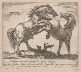 Två parende paarden Paarden uit verschiedelde landen (serietitel) Med dessa ledare kommer du att firas som en ledare med en viroru-mun.