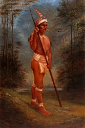 Zaparo Stock, ca. 1893.