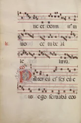 Dekorerad initial P