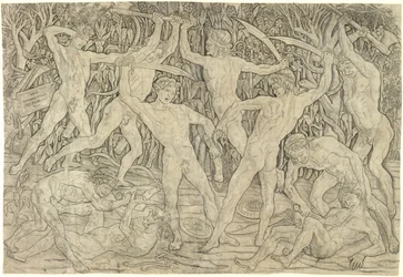 Battle of the nakenbilder