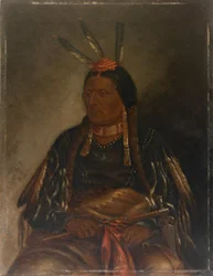 Che-tan-ce-ta (gul hök)