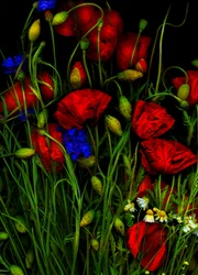Artfloral Vallmo 1
