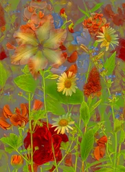 Artfloral no.5 vårprat, 2016 (foto)