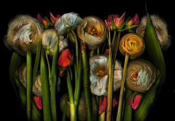 Earthart flora no.3, 2024 (foto)