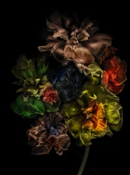 Blommor 13-1, 2025 (foto)