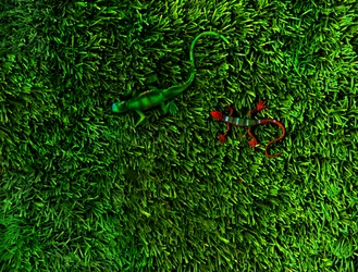 Grass-4;, 2014 (foto)