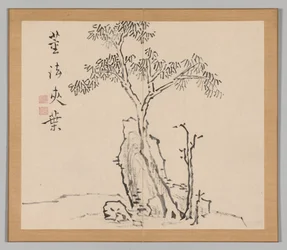 Reverberations of Taiga, Volym 1 (blad 4)