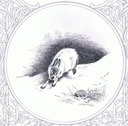 Mountain Hare, pub. av Book Club Associates