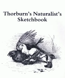 Titelsida (Stoat och Gamebird), pub. av Book Club Associates