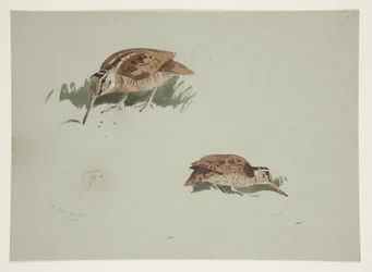 Två vinjetter med morkullor, ca 1915