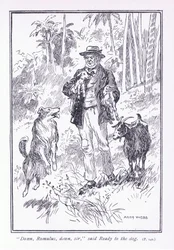 Ner Romulus, nere sir, sa Redo till hunden, 1900-talet