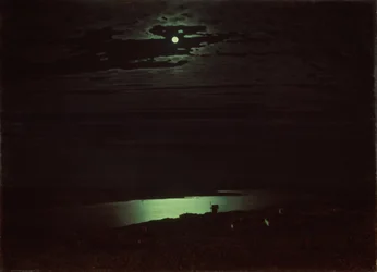 Månbelyst natt vid Dnepr, 1880