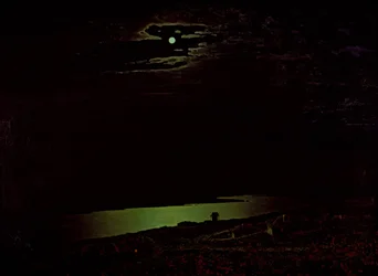 Månbelyst natt vid Dnepr, 1882