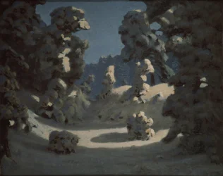 Solfläckar på rimfrosten, 1876-1890