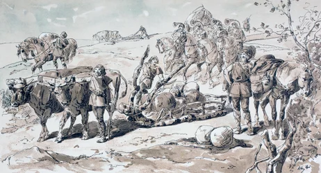 Oxar ritar en primitiv släde lastad med stenar, 1886