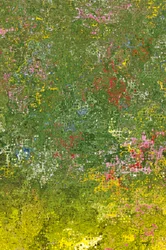 Blomsteräng