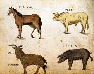 Illustrationer från "A French Alphabet Book of 1814", pub. av Charles Plante Fine Arts