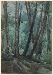 Skog