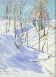 Ravinen